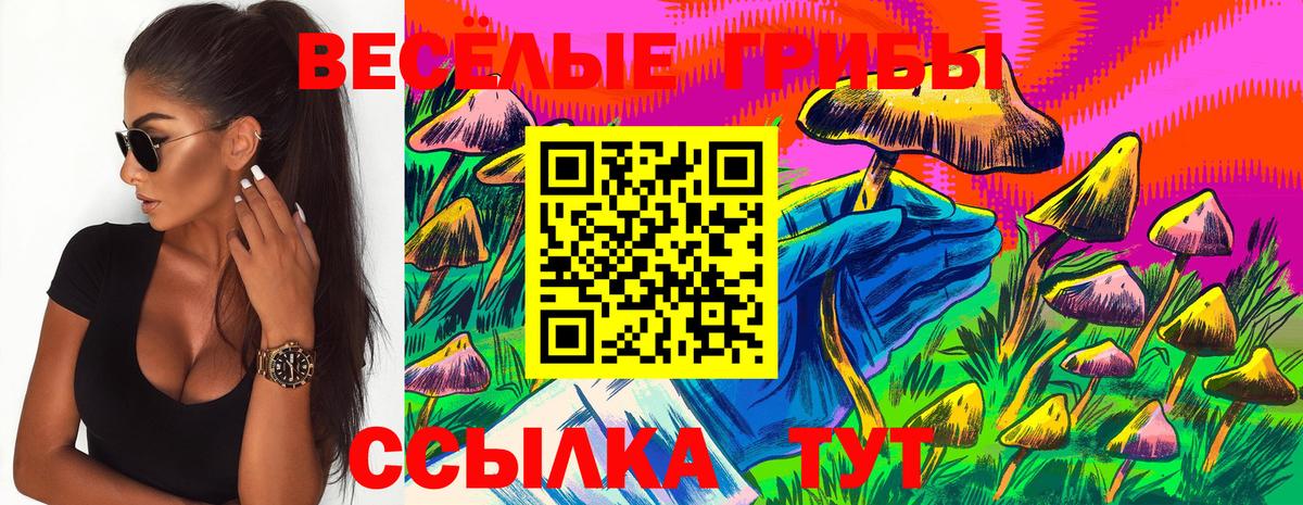 Подольск  Галлюциногенные грибы Magic Shrooms  Псилоцибиновые грибы Cubensis  Вход с VPN 